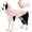 Pink, variant on Amztom Ice Sensation Dog T-Shirt, UPF 50+ Sun Protection Cooling Vest for Summer, High Elastic with Adjustable Buckle & Hind Leg Strap, Reflective, Blue, XL