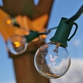 thumbnail image 1 of Globe String Lights 1.5 Inch E12 Bulbs 25 Foot Green Wire C7 Strand Clear, 1 of 3