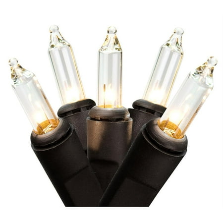 Set of 50 Clear Mini Christmas Lights 2.5" Bulb Spacing - Black Wire