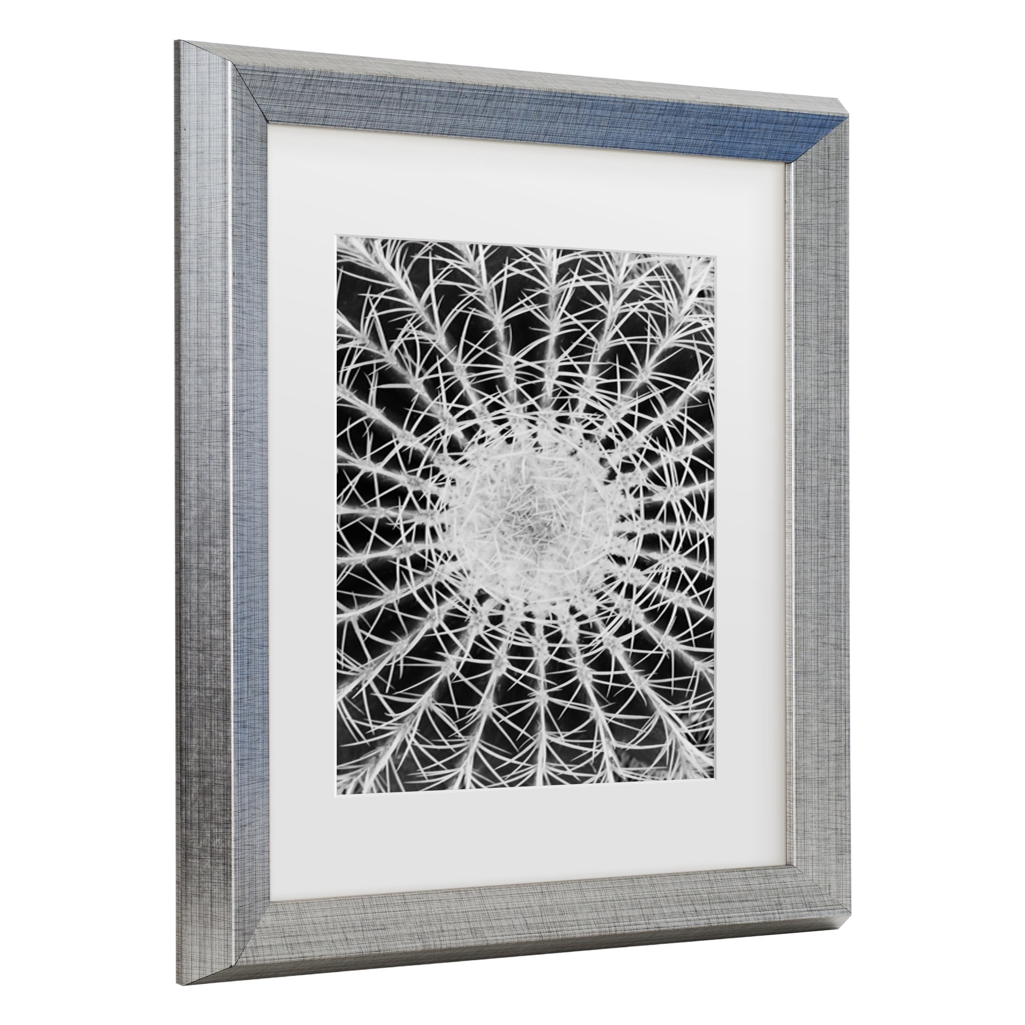 Trademark Fine Art 'Barrel Cactus' Canvas Art by Kurt Shaffer