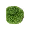 thumbnail image 1 of Micro Landscape Ornaments Artificial Moss Natural Texture Stable Non-Slip Base Moss for Miniature Garden Decoration, 1 of 8