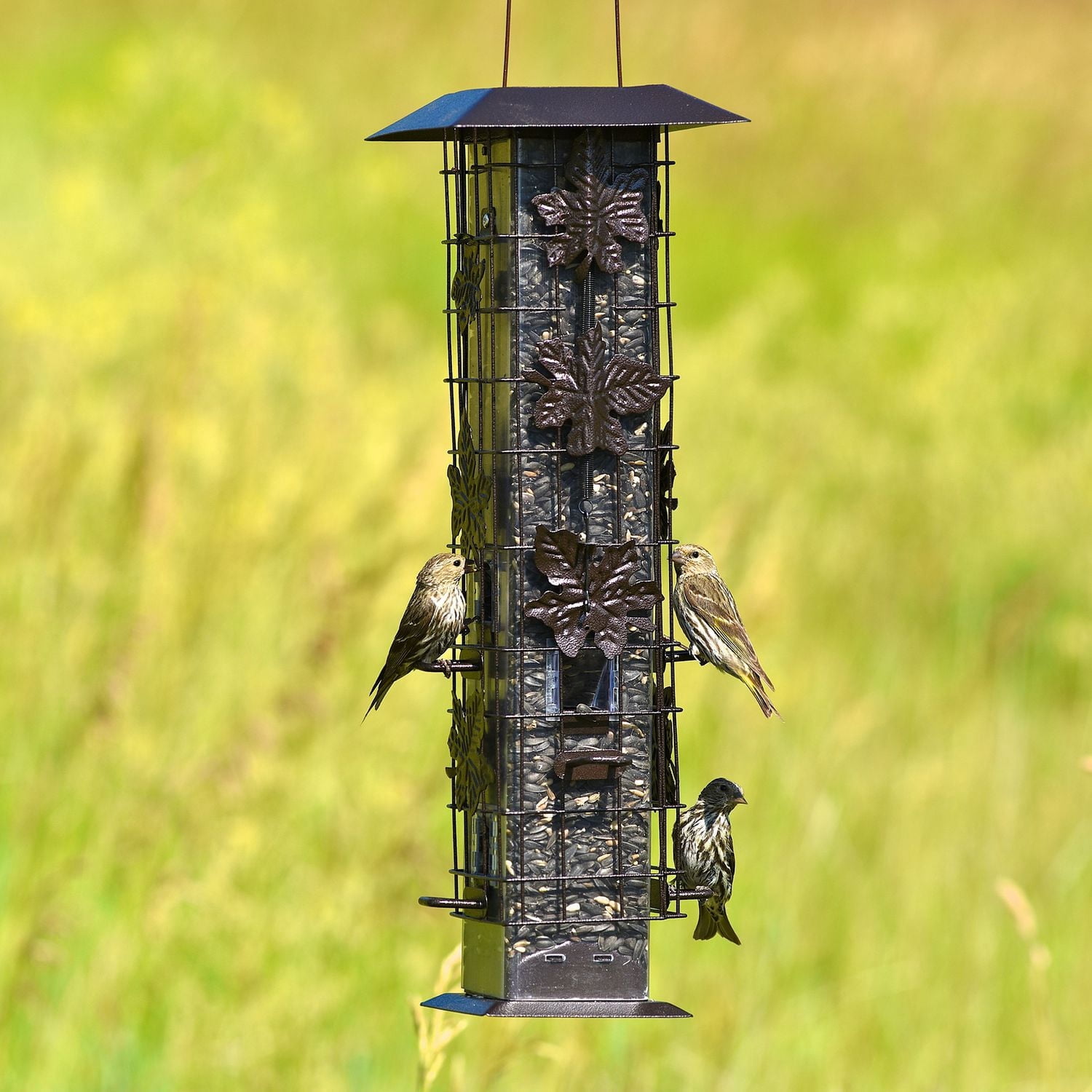 Perky-Pet Squirrel-Be-Gone Wild Bird Feeder