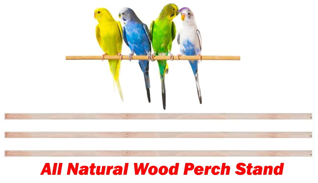 Large Double Roof Top Flight Bird Cage with Toys and Crossover Ladder for Cockatiels Sun Parakeets Green Cheek Conures Aviary Budgie Finch Lovebird Canary Pet Bird Travel Cage