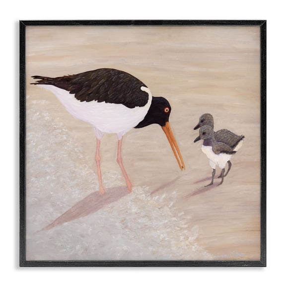 Stupell Industries American Oyster Catcher & Chicks Black Framed Giclee Art, design by Barbara Fallenbaum