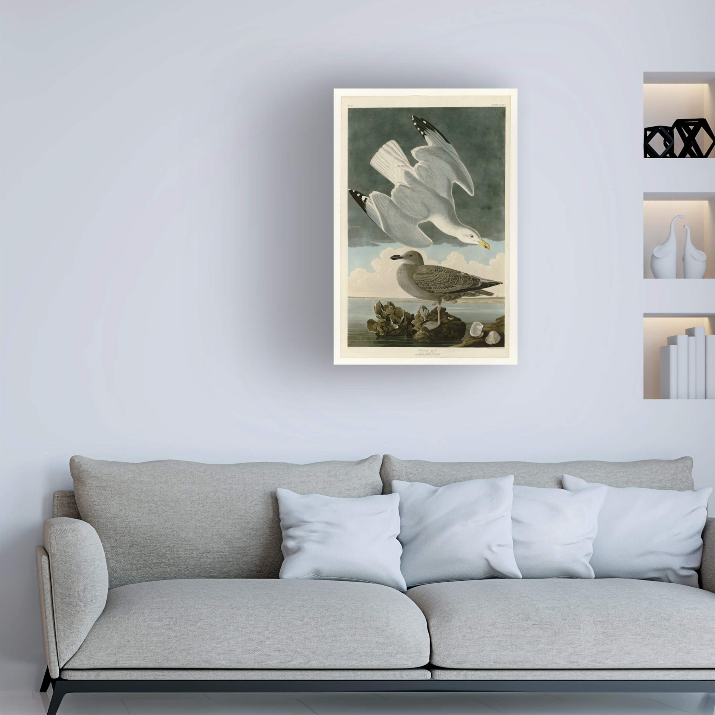 Audubon 'Herring Gullplate 291' Canvas Art