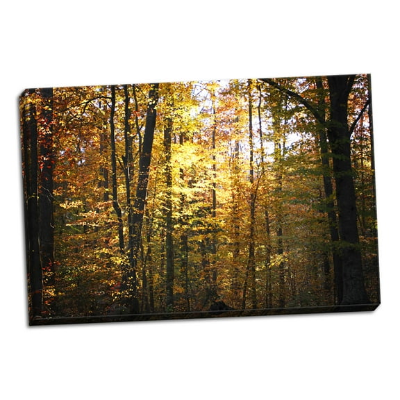 Gango Home Decor Sunset Through the Woods 1 by Alan Hausenflock (Ready to Hang); One 36x24in Hand-Stretched Canvas
