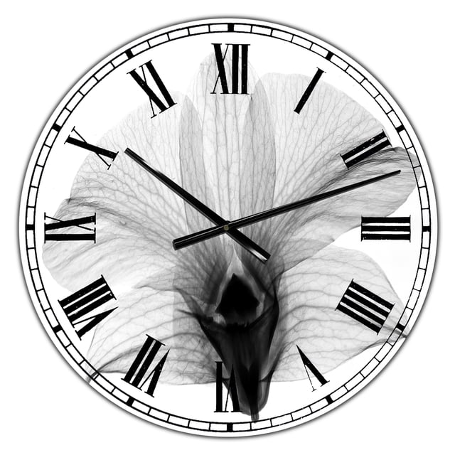 DesignArt Dendrobium au Dos Horloge Murale Grande Orchidée Radiographique