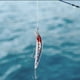 thumbnail image 1 of Cebo de pesca artificial, carga de pesca de 12 cm, señuelo de pesca artificial eléctrico, carga de pesca nocturna, máxima confiabilidad eléctrica, 1 of 8