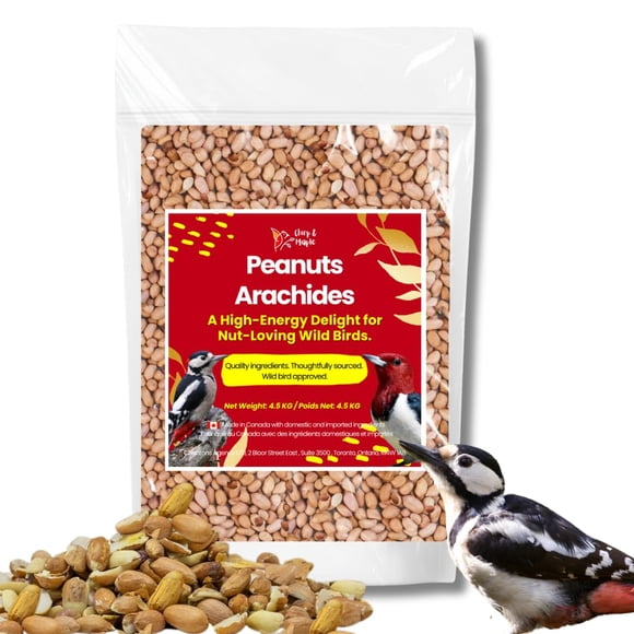Chirp & Maple, No Shell Peanuts for Wild Birds - Premium Unsalted Raw Kernels, High Energy Protein Rich Bird Food for Blue Jays,