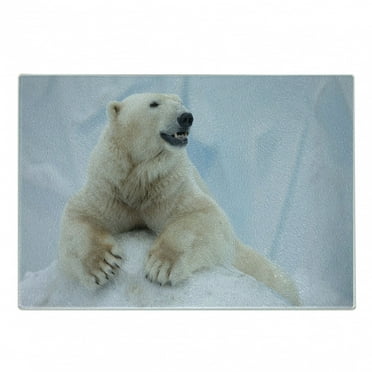 Zoo Cutting Board, Portrait of Large White Polar Bear on Ice Claws Antarctica North Outdoors, Decorative Tempered Glass Cutting and Serving Board, Small Size, Pale Blue Cream White, by Ambesonne