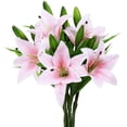 thumbnail image 1 of Paquete de 5 flores artificiales de lirio, flores falsas de tacto real para bodas, fiestas en casa, jardín, tienda, decoración de oficina, flores de imitación de lirio de plástico. Fokelyi CZJJ-HQ52-3, 1 of 7