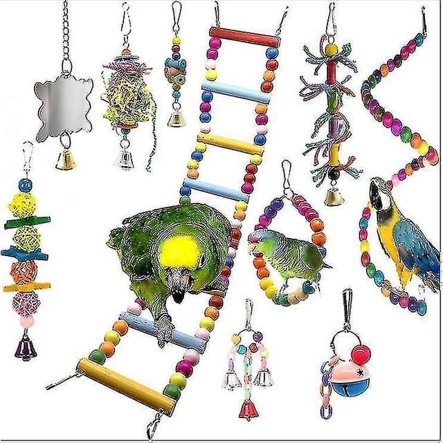 Juego de juguetes para loros de 10 piezas, escalera y amplificador; Campana, bolas de colores Feliz Sencillez