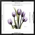 thumbnail image 5 of Art.com Purple Tulip Square Premium Giclee Print by Albert Koetsier, Black Frame Wall Art, 21" x 21", 5 of 5