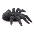 thumbnail image 4 of Granny's Best Realistic Black Spider, Indoor/Outdoor Decorations Props, 4 of 6
