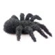 thumbnail image 4 of Accesorios de Halloween: Araña colgante con pelo simulado, red decorativa para pedir dulces, ideal para películas, televisión y bares., 4 of 6