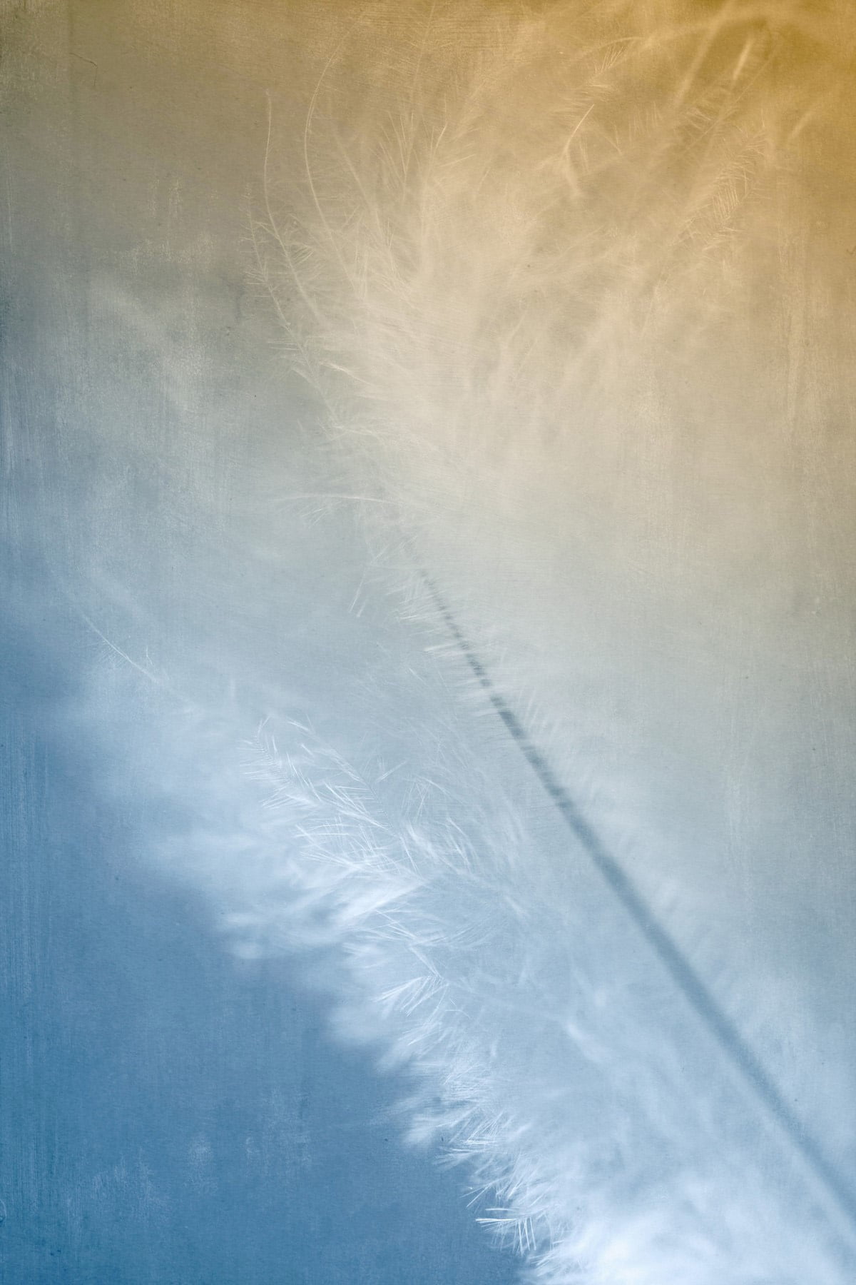 "White and Gold" Painting Print on Wrapped Canvas