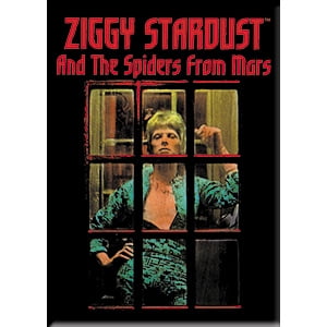 BOWIE fridge magnet 