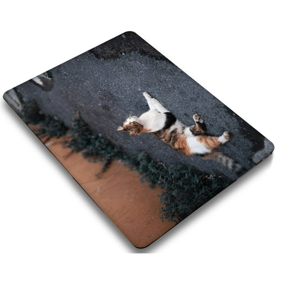 Hard Shell Cover Compatible with Newest MacBook Pro 13 inchs with Cable Tie Model: M1 A2338 A2289 A2251 A2159 A1989 A1706 A1708