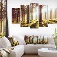 thumbnail image 1 of Early Morning Shadows of Forest - Forest Canvas Art Print, 1 of 3