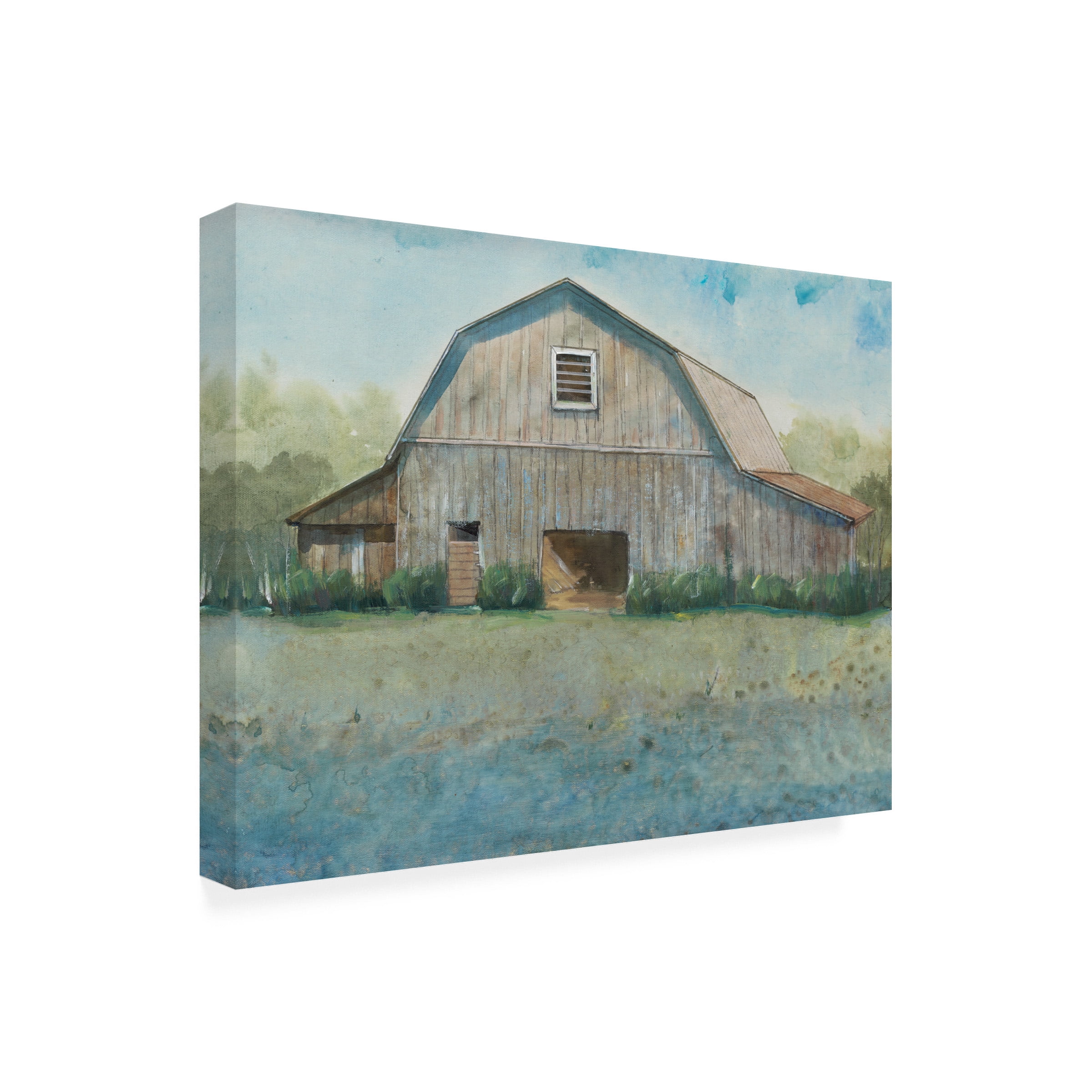 Tim O'Toole 'Country Life II' Canvas Art