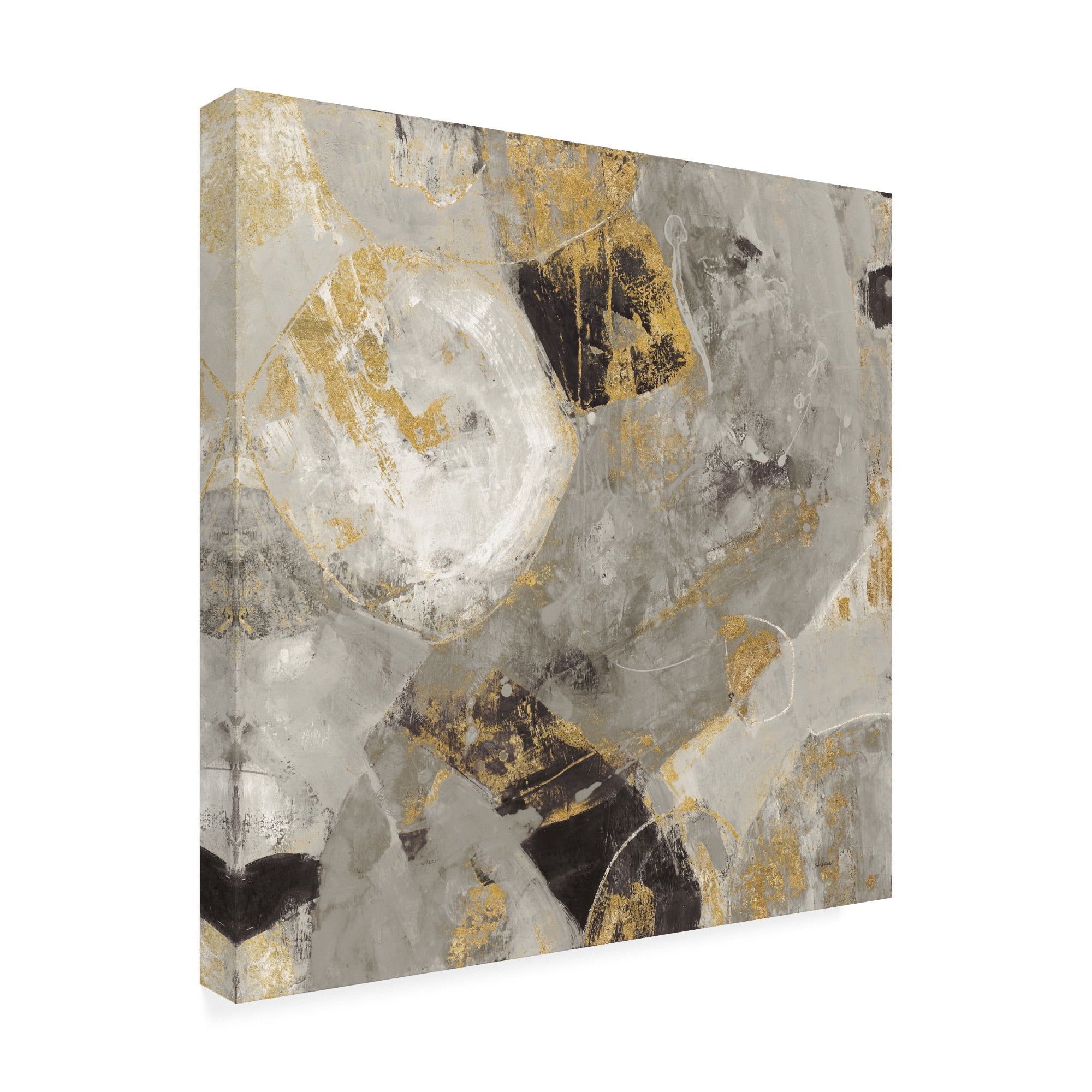 Trademark Fine Art 'Painted Desert Neutral' Canvas Art by Albena Hristova