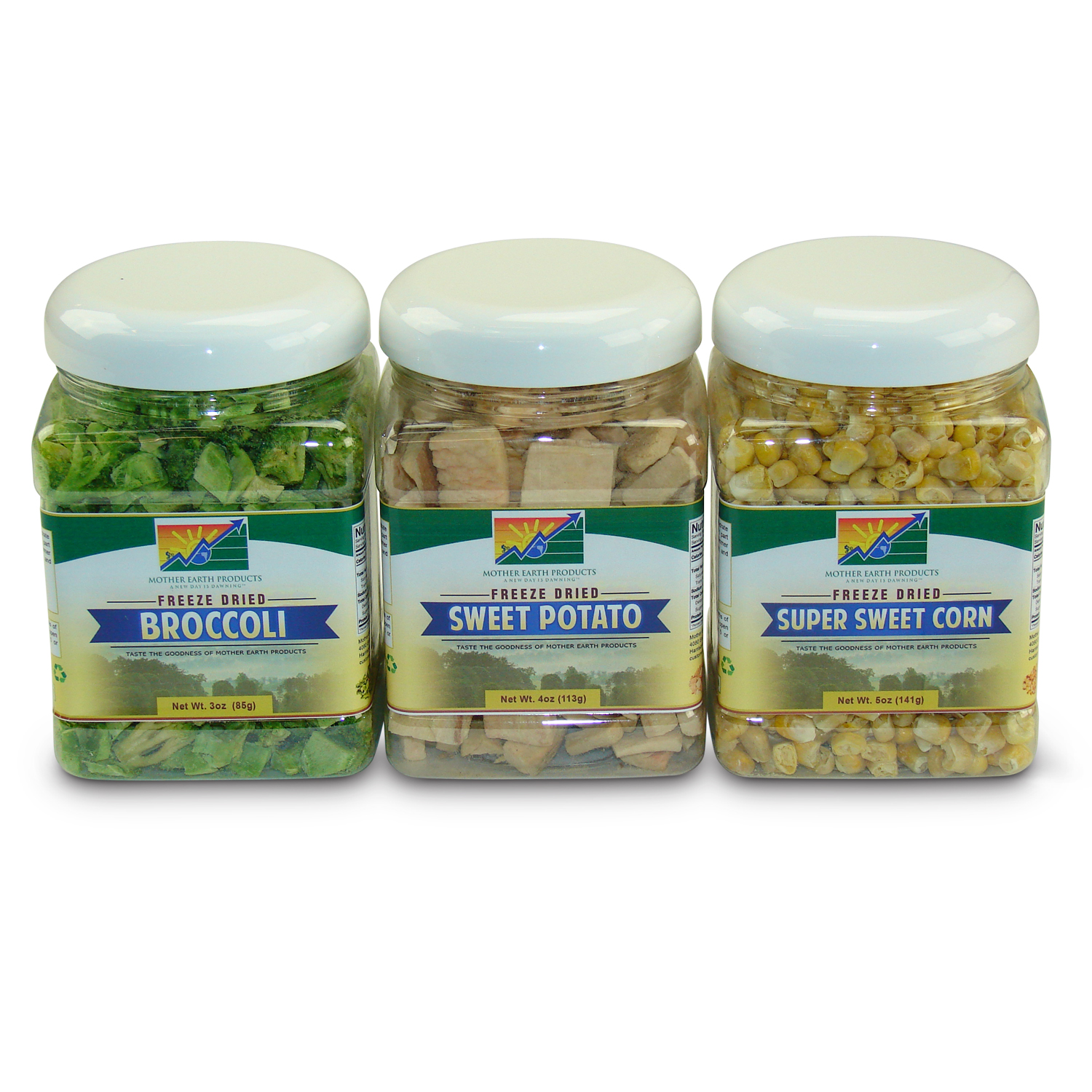 MedleyFreeze Dried Veggie Value quart Jars