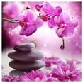 thumbnail image 1 of Kits de Pintura de Diamantes Cgtredaw Phalaenopsis Zen Stone Taladro 40x40cm A5576, 1 of 9
