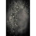 thumbnail image 3 of Horsfall, Gary 17x24 Black Modern Framed Museum Art Print Titled - Bare Branches 2017, 3 of 5