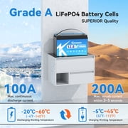 Lithium LiFePO4 Battery 12V 100Ah with 100A BMS, 8000+ Deep Cycle Rechargeable, for Solar, Boat, RV, Trolling Motor, with a 7A charger