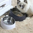 thumbnail image 2 of Weilan Pet Bowl,200ml Stainless Steel Cat Bowl Raised No Slip Elevated Stand Tilted Feeder Bowls, 2 of 9