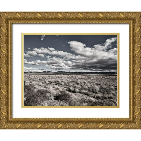Sophie 6 24x19 Gold Ornate Wood Framed with Double Matting Museum Art Print Titled - Beautiful America