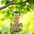 thumbnail image 3 of SNYNUXX Wild Bird Feeders for Outdoors Hanging Stainless Steel Hanging Bird Feeder Tube, Finch Feeder for Garden Backyard Decoration Attractive Squirrel Proof Bird Feeders for Outside Green - 2 Pack, 3 of 8