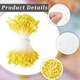 thumbnail image 6 of 1600PCS Yellow Double Heads Handmade Flower Stamen Flower Stamens Pistil Artificial Pearlized Floral Pollens Stamen for Flower Making Scrapbook Decoration Handicrafts, 6 of 9