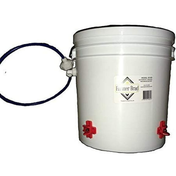 Automatic Chicken Waterer (2 Gallon)