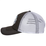 Busch Light Curved Brim Snapback Hat