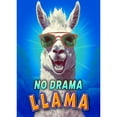 thumbnail image 2 of America Forever No Drama Llama House Flag 28 x 40 inch Double Sided Cool Sunglasses Funny Peaceful Positive Vibes Outdoor Yard Decorative Flag, 2 of 5