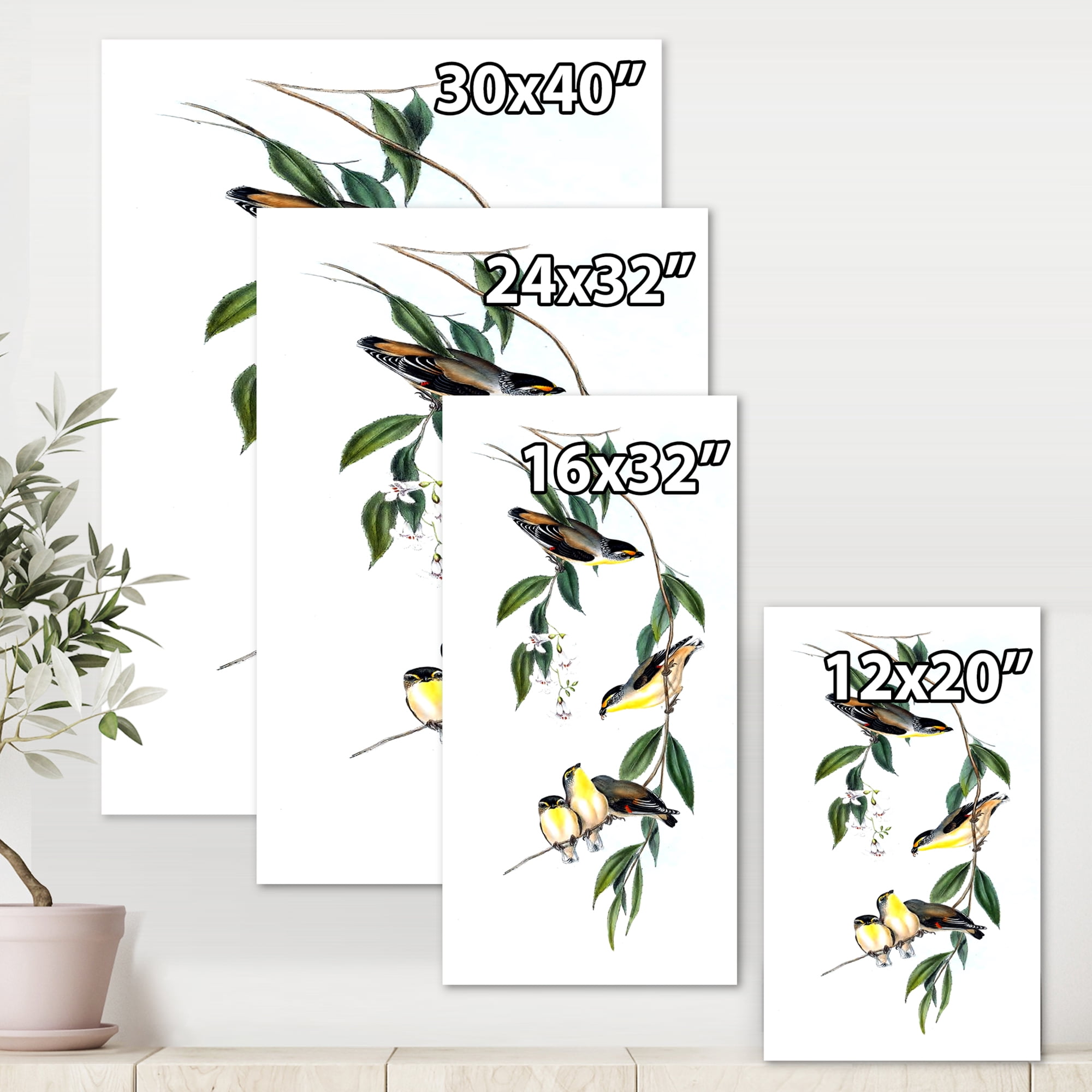 Designart ' Ancient Bird III ' Traditional Canvas Wall Art Print