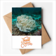 thumbnail image 1 of Ocean Green medusas ciencia naturaleza foto Nota en blanco del sobre de la tarjeta de agradecimiento, 1 of 4