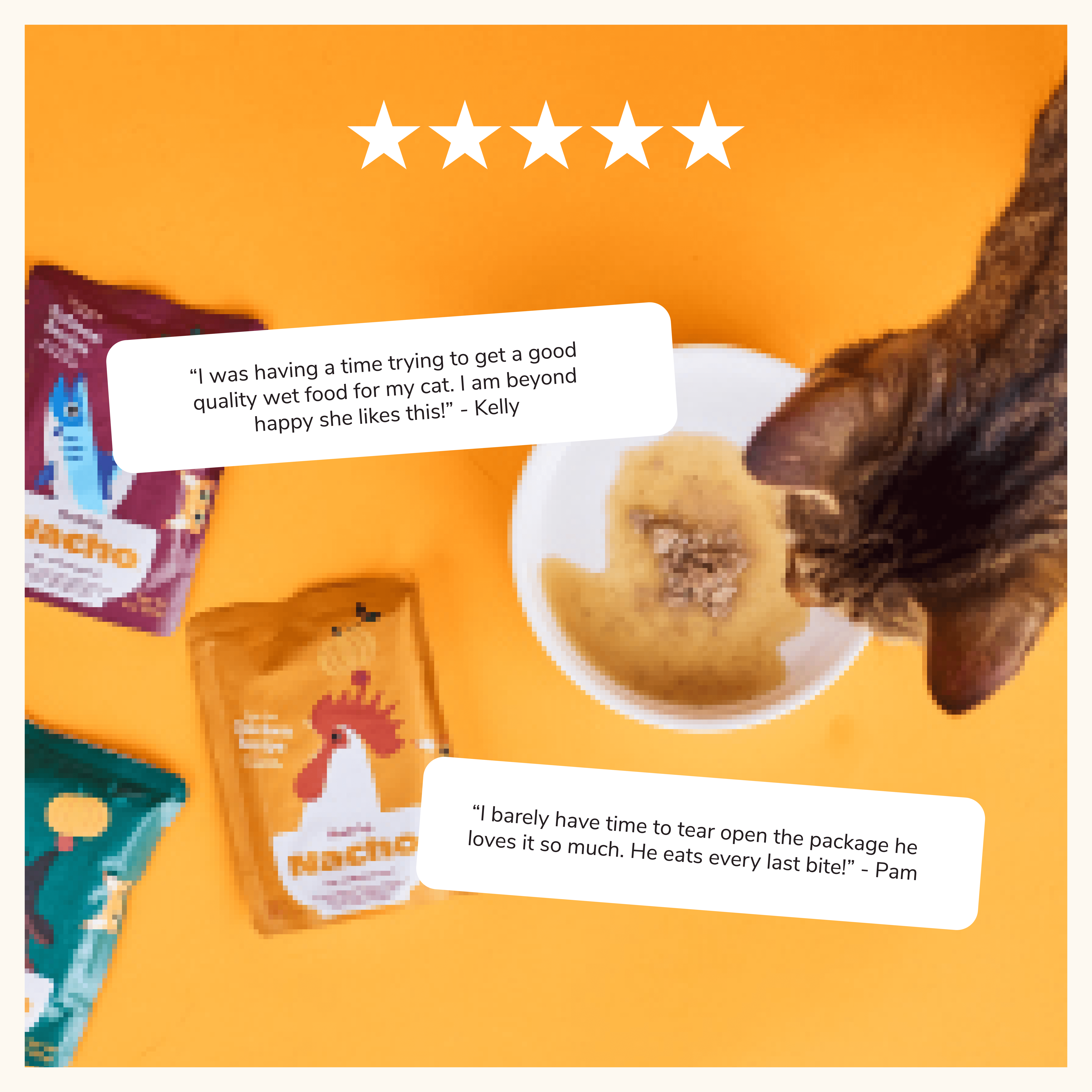 Nacho Cuts in Gravy with Bone Broth wet cat food variety pack (12ct pack, 36 oz)