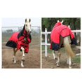 thumbnail image 4 of Manta de invierno para caballos Baoblaze poliéster impermeable 6000D 350 g Manta de participación pesada 145cm rojo, 4 of 8