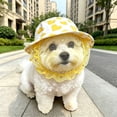 thumbnail image 5 of Dog Head Cover,Mesh Anti Scavenging Soft Protector | Dogs Face Muzzle Mouth Cover | for Pet Kitten Small Medium Indoor Outdoor Garden Hiking Camping Walking, 5 of 5