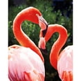 thumbnail image 3 of Van Swearingen, Debra 12x14 Black Modern Framed Museum Art Print Titled - Flamingo II, 3 of 5
