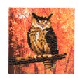 thumbnail image 2 of Craft Buddy 18cm DIY Crystal Art / Diamond Painting Card Kit - Autumn Owl, 2 of 4