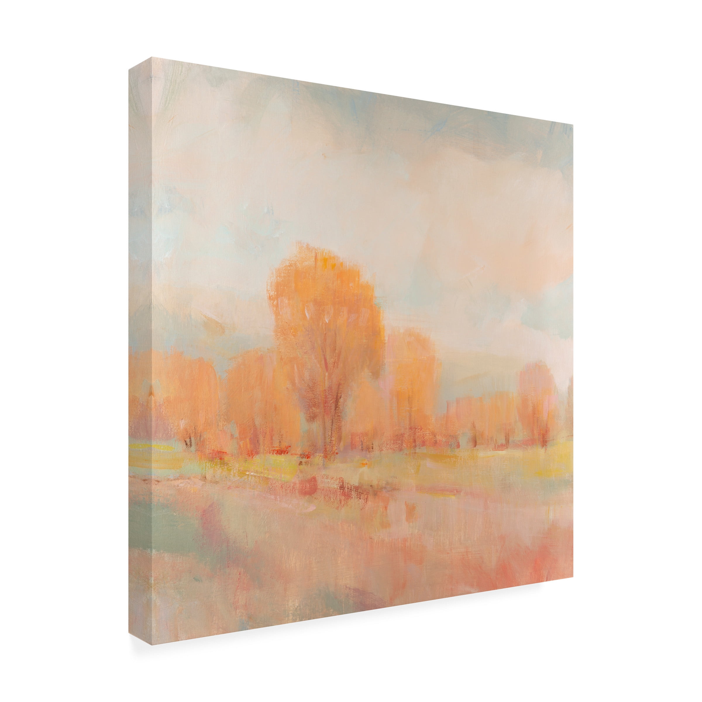Tim O'Toole 'Early Frost I' Canvas Art