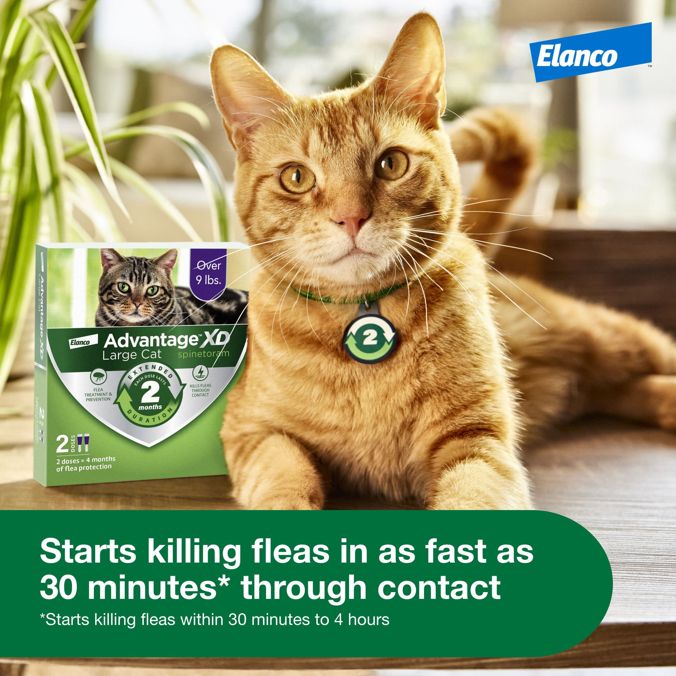 Advantage XD Large Cat 2-Month Flea Prevention For Cats over 9lbs, 1 Dose (2-Months)
