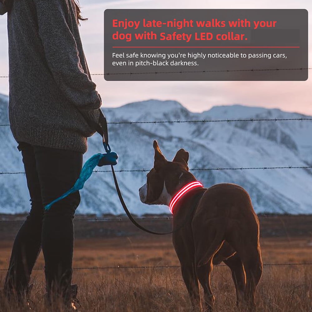 Dog leash light clearance for night walks