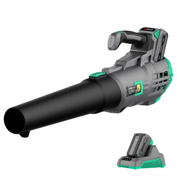 Litheli 40V Cordless Leaf Blower with Variable Speed Control Max 85MPH 350CFM Axial Blower for Blowing Leaf,Dust,Debris,with 2.0Ah Battery & Charger