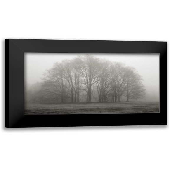 Iacobellis, Michael 14x9 Black Modern Framed Museum Art Print Titled - Gathering Trees