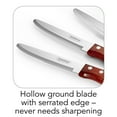 thumbnail image 2 of Tramontina Porterhouse 4-Piece Serrated Steak Knife Set with Polywood Handles, High Carbon Stainless Steel Knives for Kitchen, 2 of 3