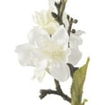 thumbnail image 2 of Ashland 38” Artificial Polyester White Cream Blossom Stem, 2 of 2